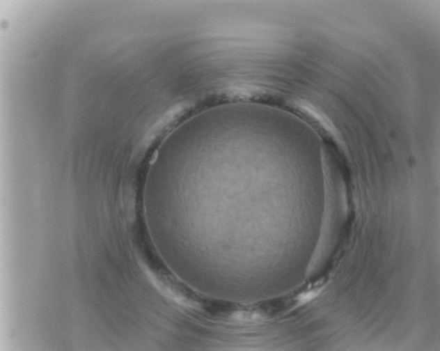 X0000073760496200608102049