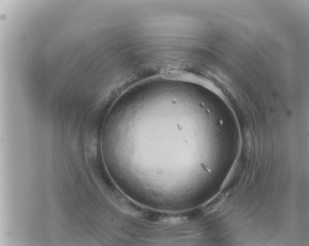 X0000073760499200608102049