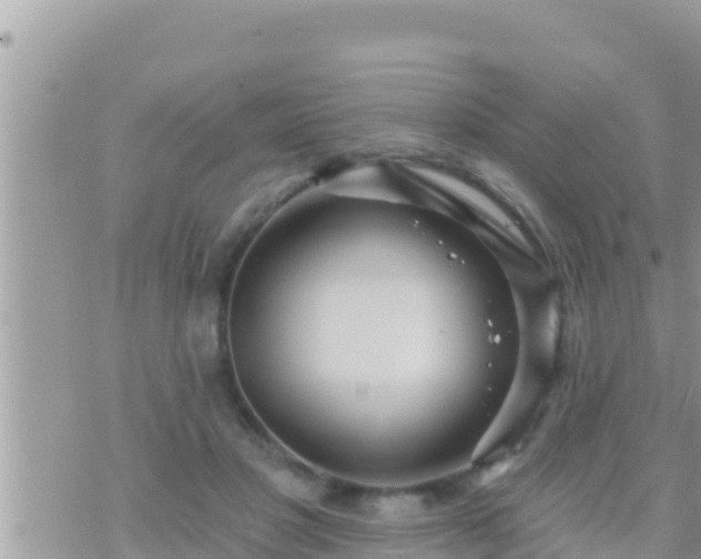 X0000073760501200608102049