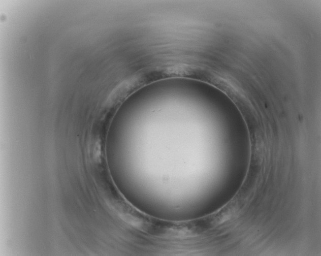 X0000073760502200608102049