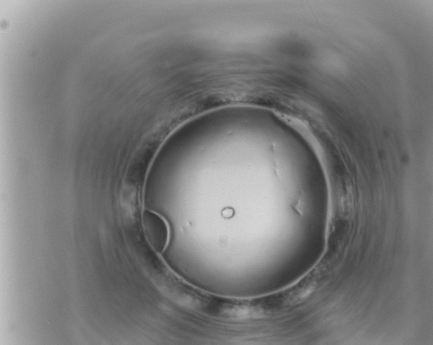 X0000073760503200608102049