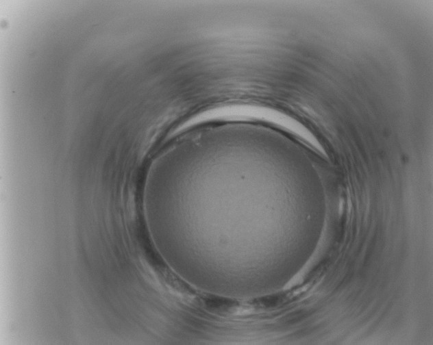 X0000073760504200608102049