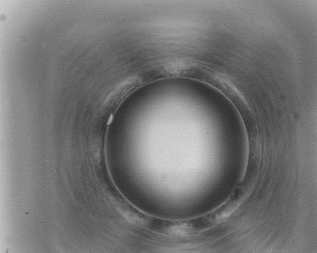 X0000073760505200608102049