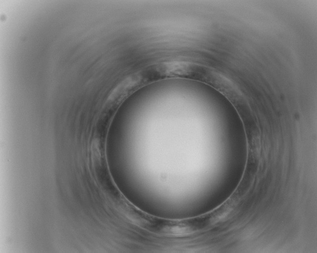 X0000073760506200608102049