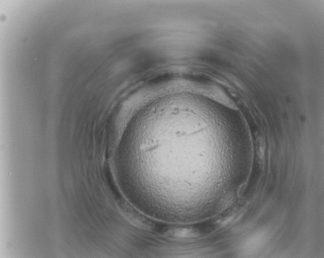 X0000073760507200608102049