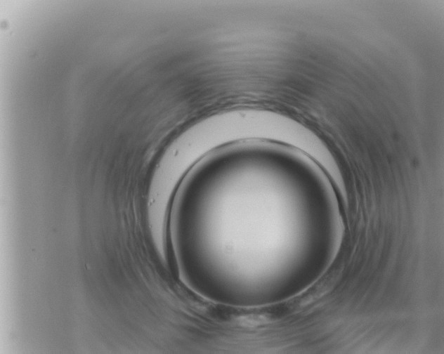 X0000073760508200608102049