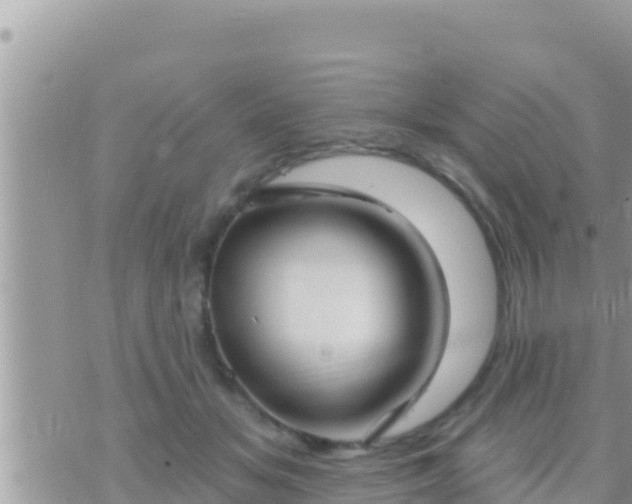 X0000073760509200608102049