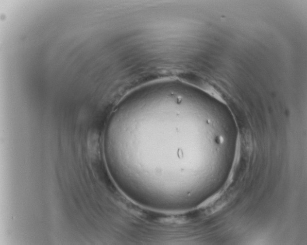 X0000073760511200608102049