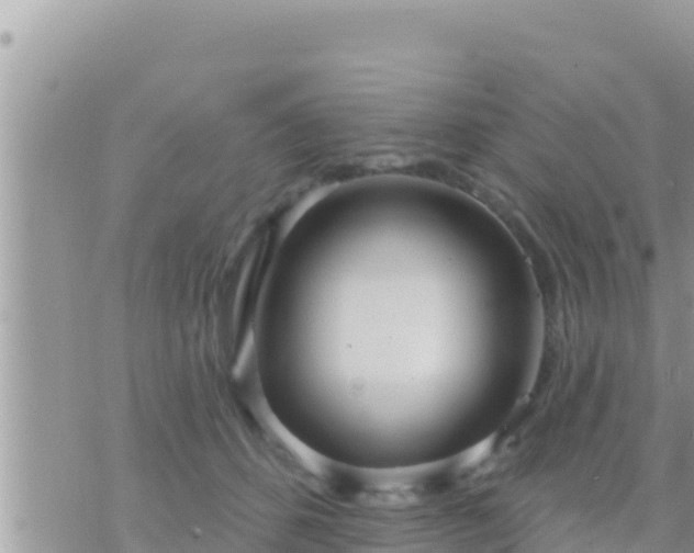 X0000073760512200608102049