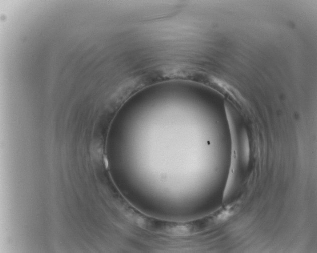 X0000073760513200608102049