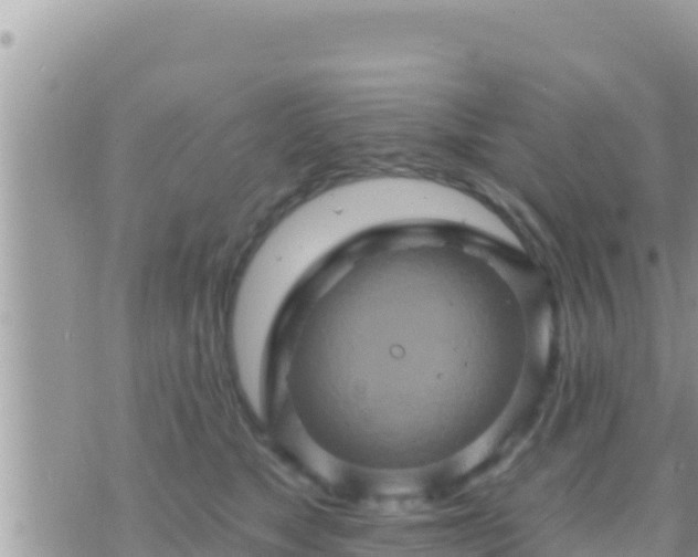 X0000073760517200608102049