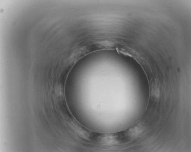 X0000073760518200608102049