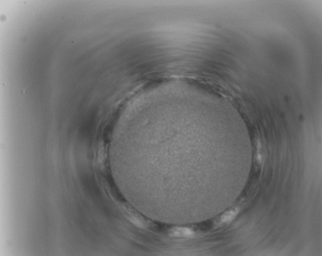 X0000073760519200608102049