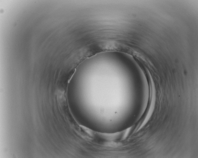 X0000073760521200608102049