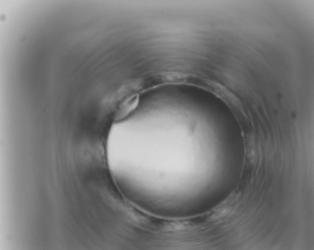 X0000073760523200608102049