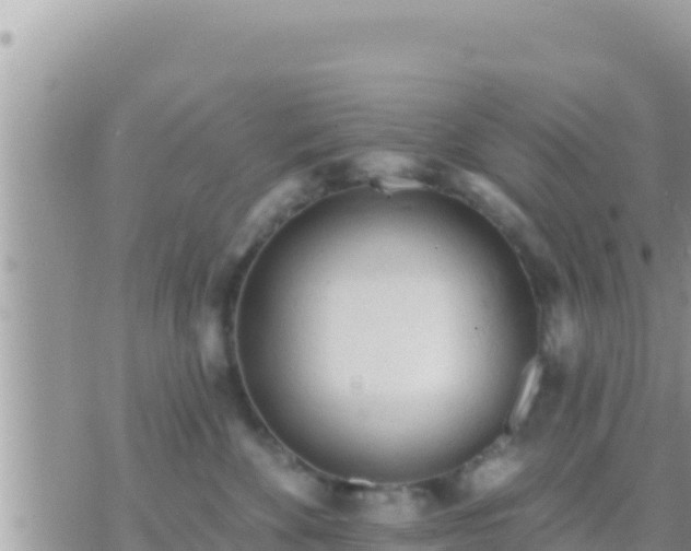 X0000073760524200608102049