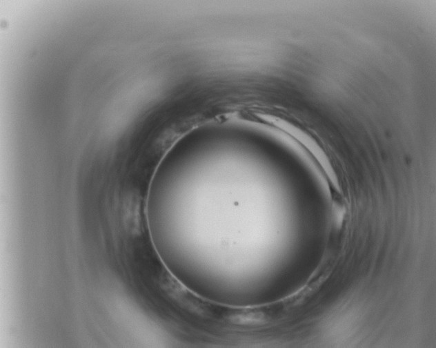 X0000073760525200608102049