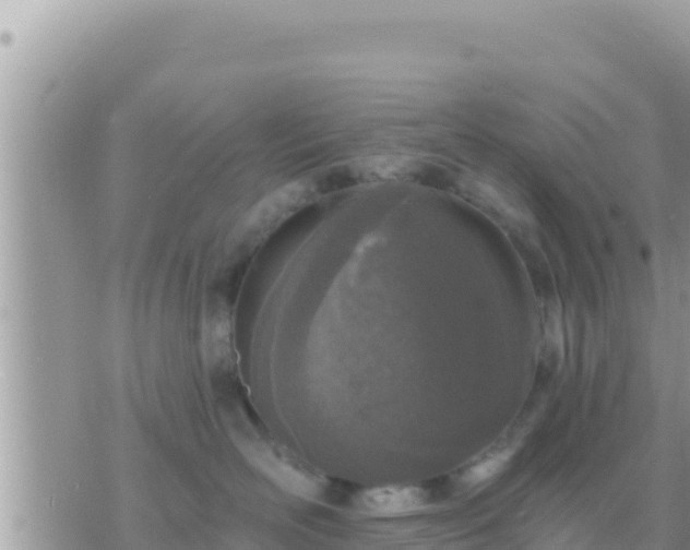 X0000073760526200608102049