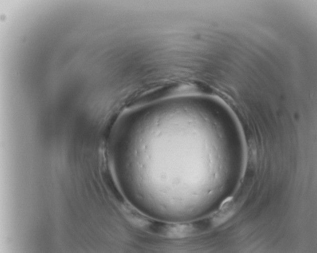 X0000073760527200608102049