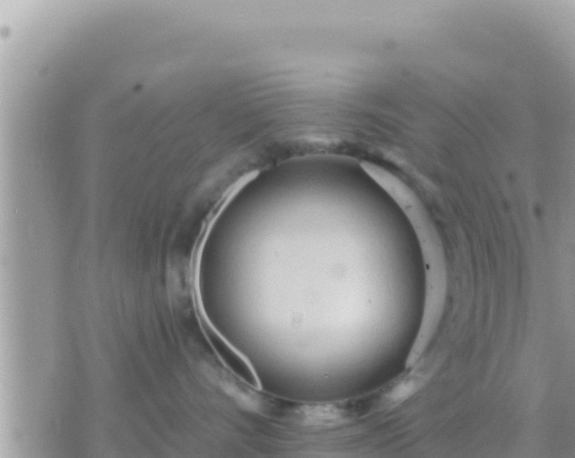 X0000073760528200608102049