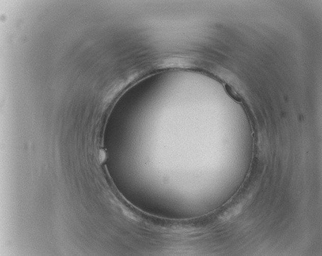 X0000073760529200608102048