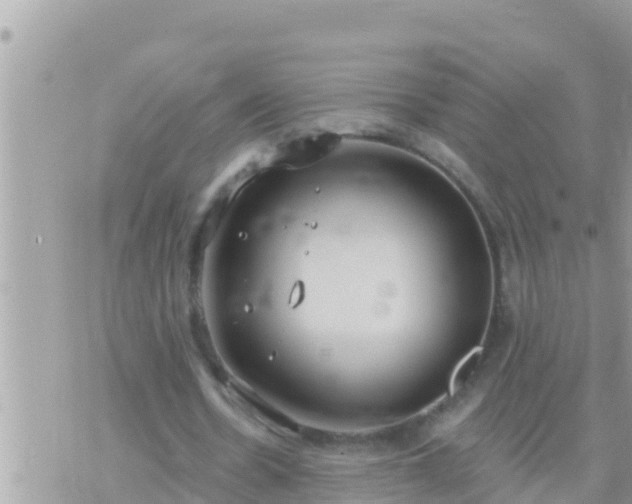 X0000073760530200608102048