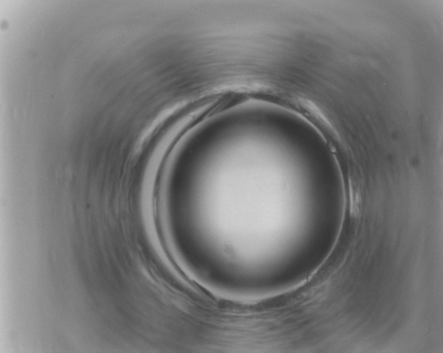 X0000073760531200608102048