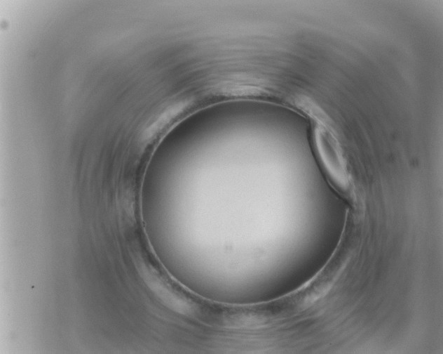 X0000073760533200608102048