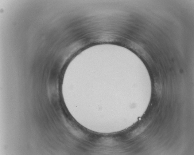 X0000073760534200608102048