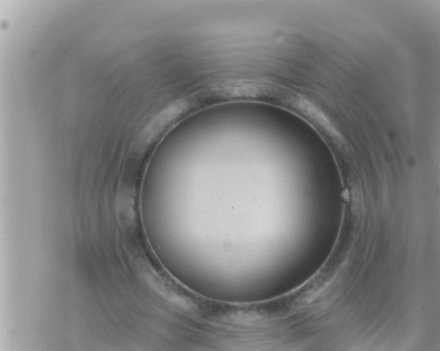 X0000073760537200608102048