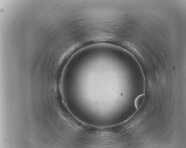 X0000073760539200608102048