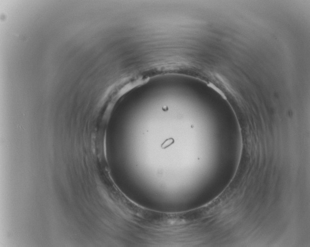 X0000073760543200608102048