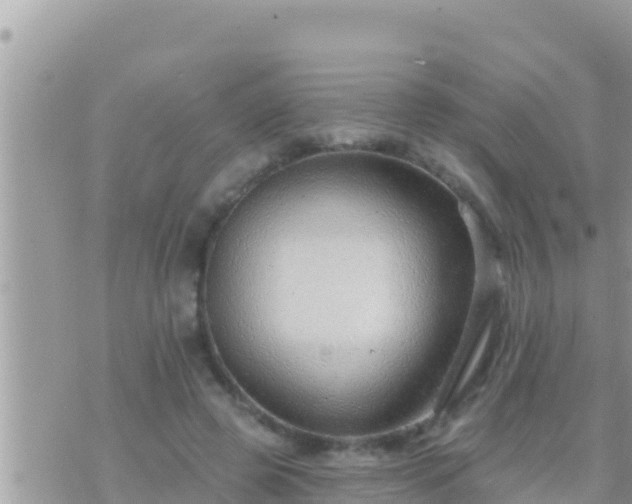 X0000073760545200608102048