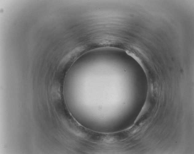 X0000073760547200608102048