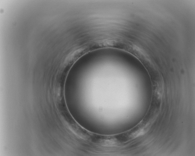 X0000073760548200608102048