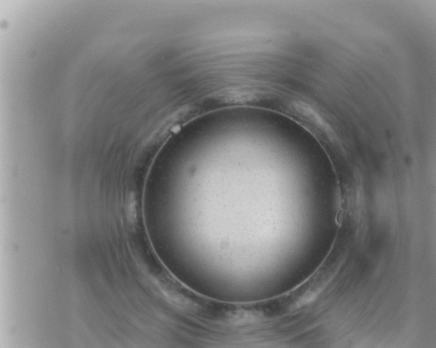 X0000073760549200608102048