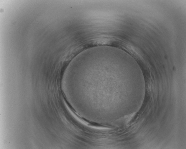 X0000073760551200608102048