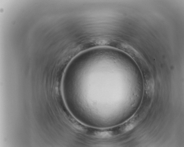 X0000073760553200608102048