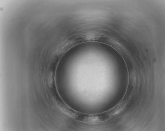 X0000073760554200608102048