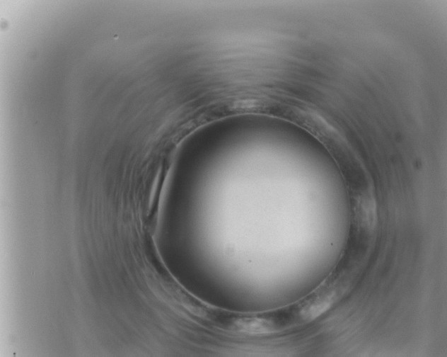 X0000073760557200608102048