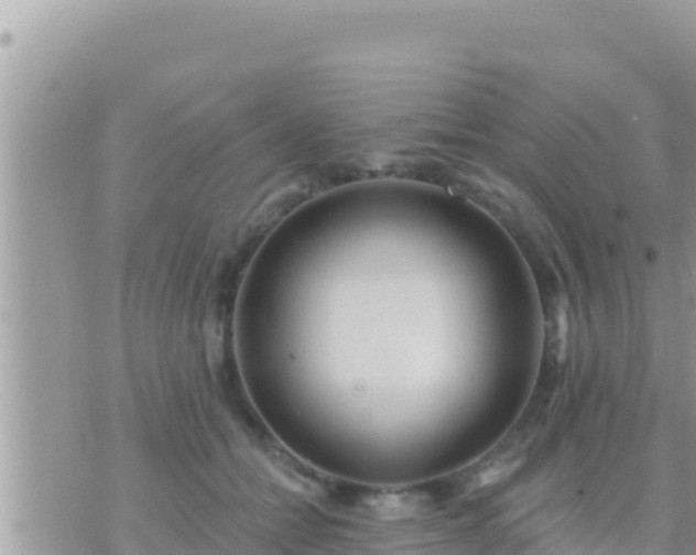 X0000073760558200608102048