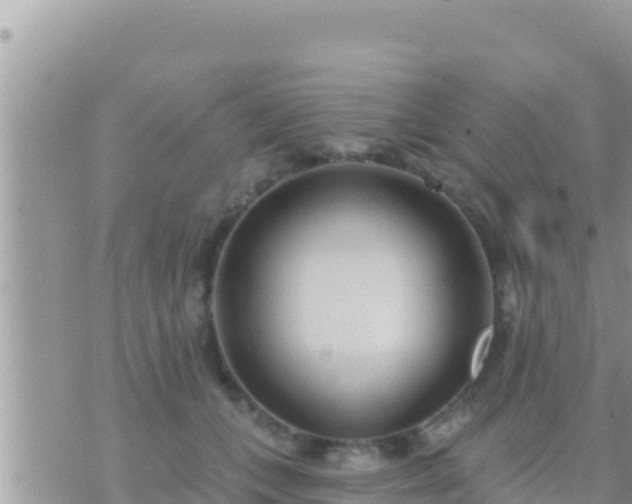 X0000073760559200608102048