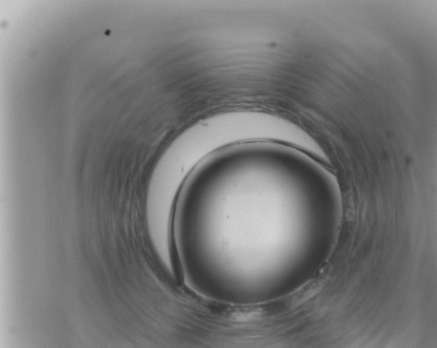 X0000073760560200608102048