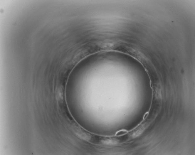 X0000073760561200608102048