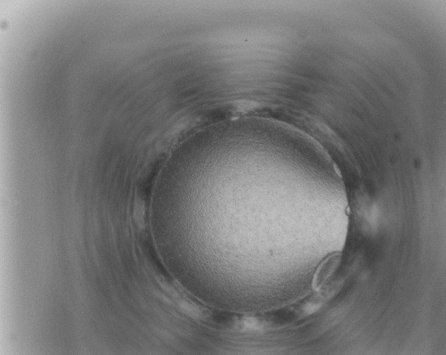 X0000073760565200608102048