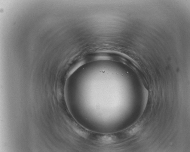 X0000073760566200608102048