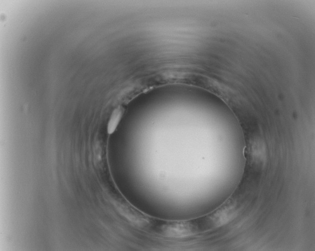 X0000073760567200608102048