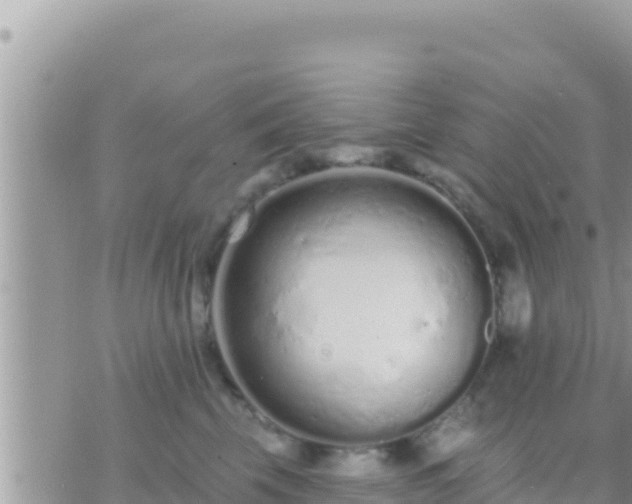 X0000073760569200608102048