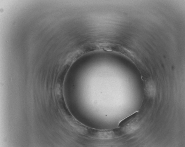 X0000073760571200608102048