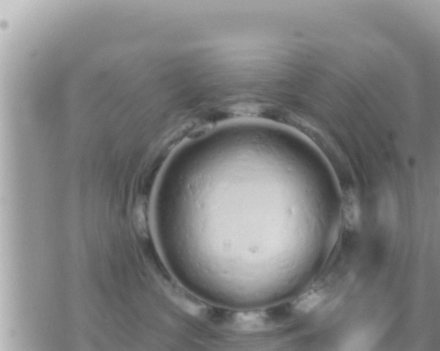 X0000073760573200608102048